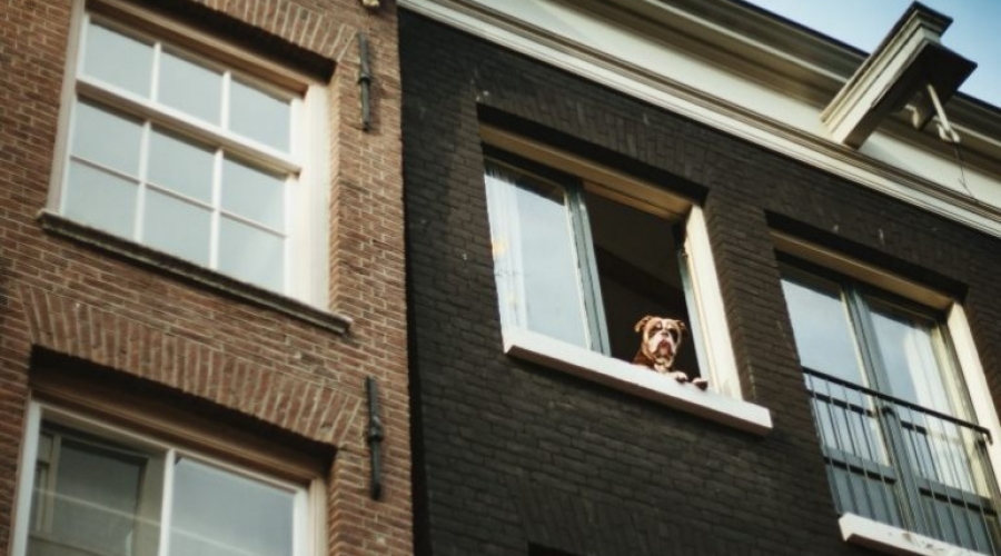 10 dicas para universitários que vão sair da casa dos pais